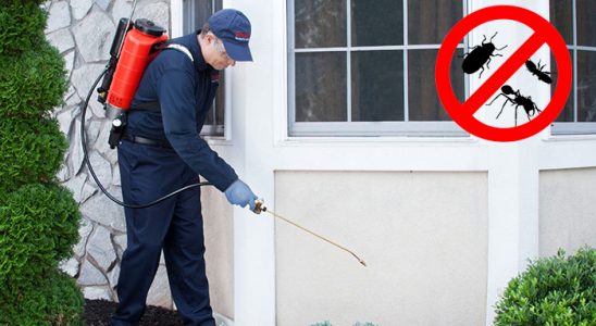Serinhisar Fare İlaçlama böcek ilaçlama ve haşere kontrolü — ilaclama-tr.com